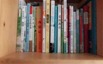 局工作总结暨工作计划优质8篇