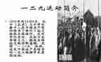 129事件心得模板5篇