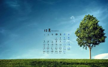 12月周工作计划优秀5篇