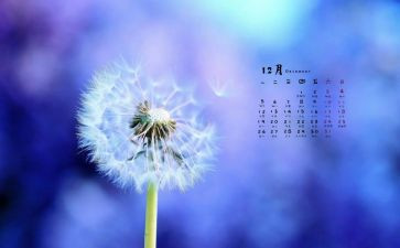 幼儿园教师12月份工作总结7篇