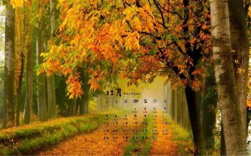保洁12月工作计划5篇