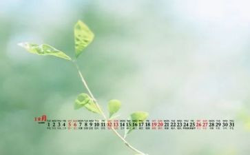 2024年幼儿园12月份大班工作总结6篇