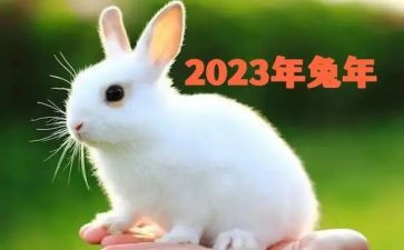2023rh述职报告模板6篇