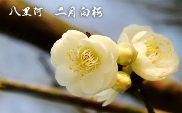 幼儿园2024年2月计划7篇