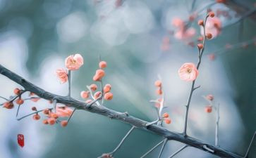 2月份总结报告5篇