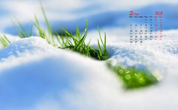 销售2月工作总结优质5篇