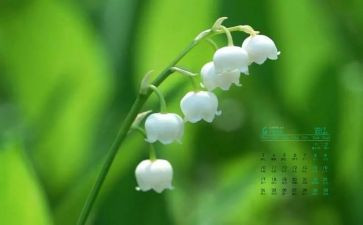 4月的工作总结优质6篇