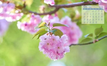 4月心得体会精选8篇