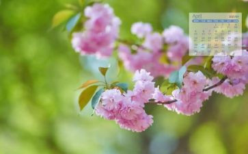 酒店4月工作总结5篇