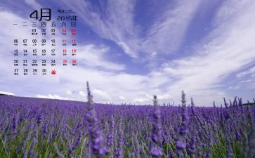 小学4月份工作总结8篇