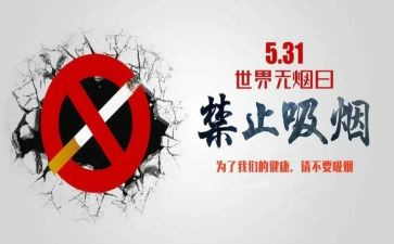 教师531工作计划模板5篇