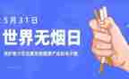 教师531工作计划推荐8篇
