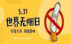 531培训心得体会范文8篇
