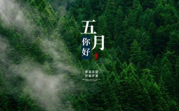 小学5月份工作计划5篇