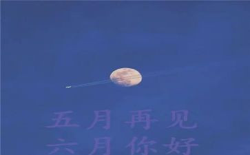 教师5月工作总结8篇
