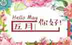 幼儿园中班5月份工作总结5篇