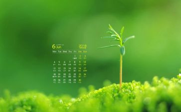 2024年6月份工作总结模板7篇