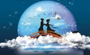 7夕服装活动方案策划优秀5篇