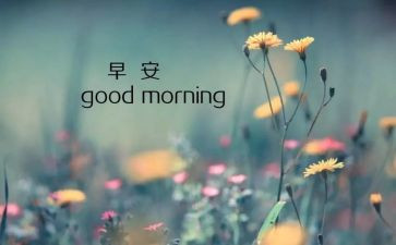 8月份月总结优秀8篇