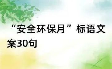 2024年安环部工作总结5篇