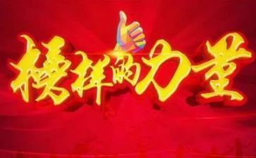榜样5,心得体会模板5篇