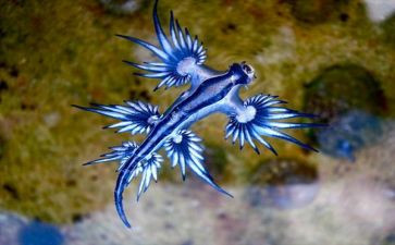 2023高二生物教学计划6篇