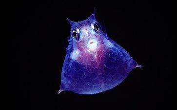 生物实验心得体会5篇