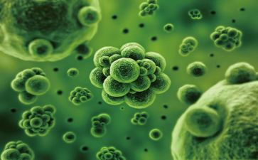 生物培训心得通用6篇