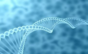 初一生物教学总结5篇