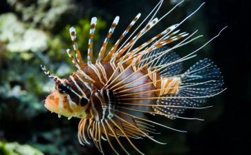 高中生物老师个人总结8篇