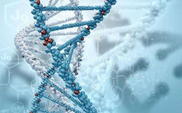 初中生物教师教学反思总结5篇