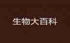 生物教师年终个人总结5篇