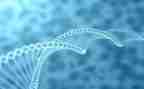 生物个人学期总结6篇