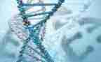 初中生物教师教学反思总结5篇