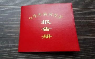 报告册作文通用8篇