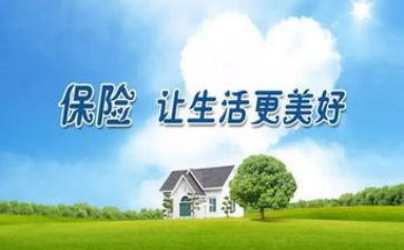保险个人年度工作总结8篇