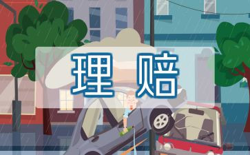 2024年保险工作总结报告5篇