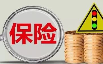 保险年终工作总结个人总结模板6篇