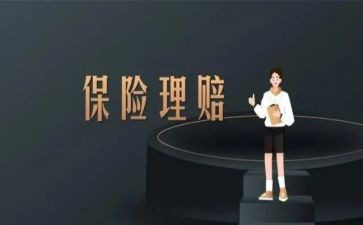 保险公司年终总结个人总结模板8篇