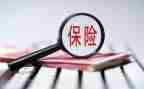 公司保险工作总结优质5篇