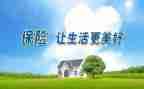 保险公司工作总结和计划7篇