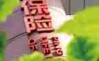 保险公司个人总结范文8篇