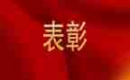 优秀员工表彰发言稿范文7篇