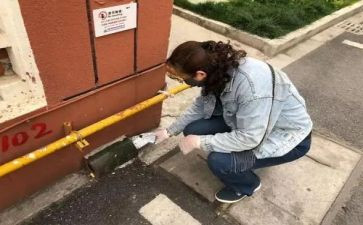 县病媒生物防制工作计划5篇