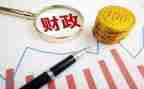 财政所半年工作计划5篇
