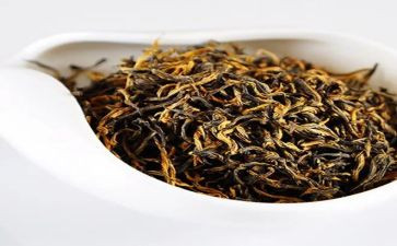 关于茶的演讲稿优秀8篇