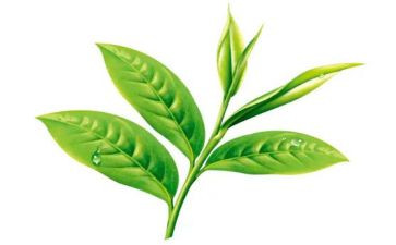 奶茶店6.1活动方案6篇