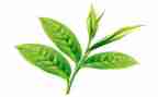 奶茶活动方案优质8篇