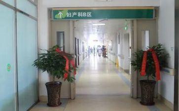 2024年房产科工作总结最新8篇