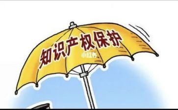 知识产权保护宣传总结5篇